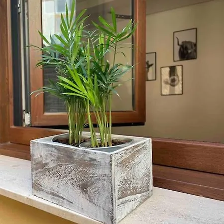 Apartment Bermudo Iii Vut-le-784