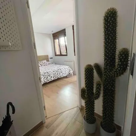 Bermudo Iii Vut-le-784 León