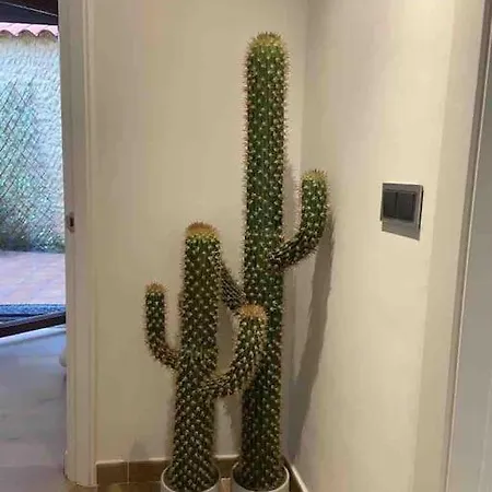 Bermudo Iii Vut-le-784 * León