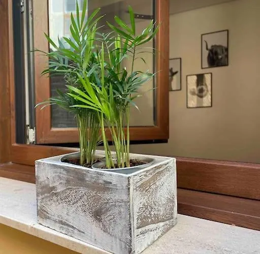 Appartement Bermudo Iii Vut-le-784