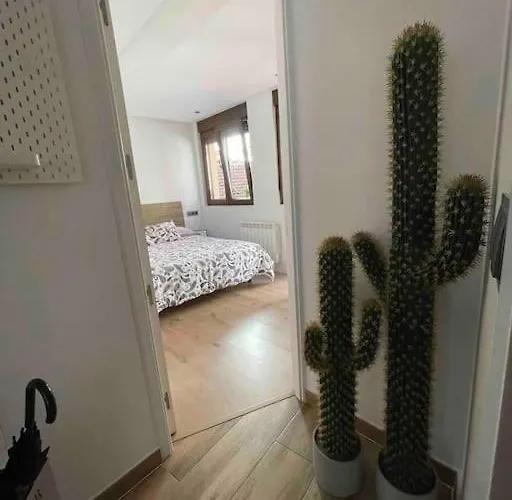 Bermudo Iii Vut-le-784 レオン