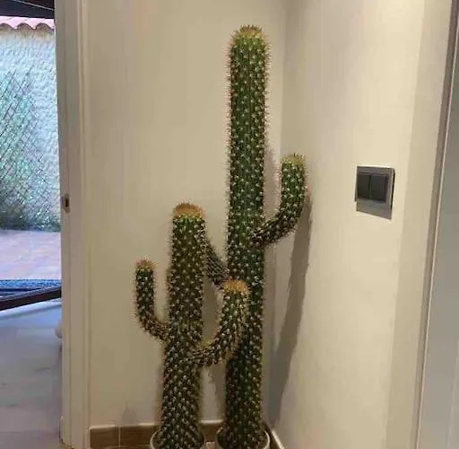 Bermudo Iii Vut-le-784 * レオン